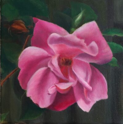Linda Gillen Pink Rose